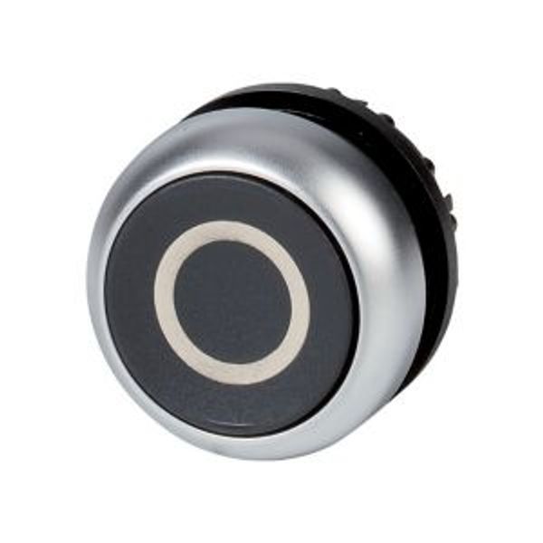 Pushbutton, RMQ-Titan, Flat, momentary, black, inscribed, Bezel: titanium image 4