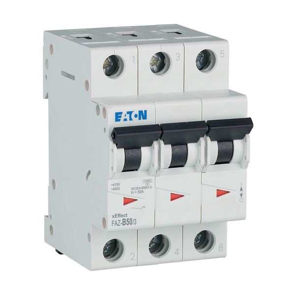 Miniature circuit breaker (MCB), 50 A, 3p, characteristic: B image 10