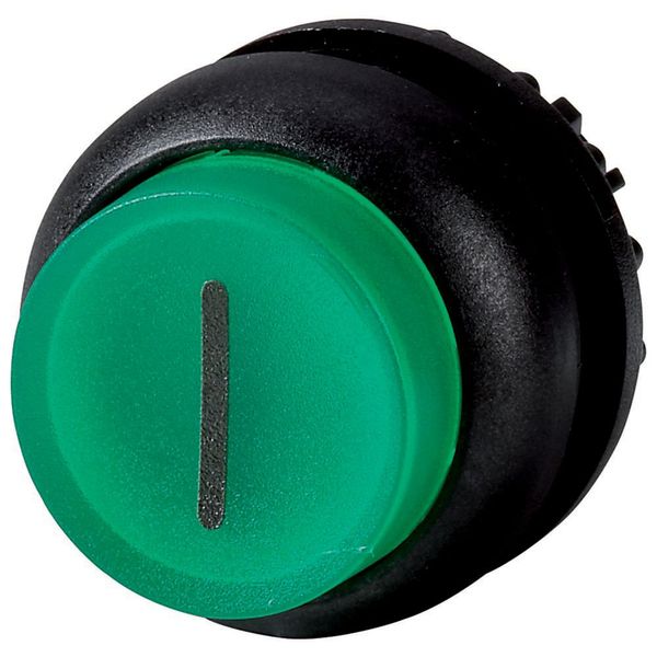 Illuminated pushbutton actuator, RMQ-Titan, Extended, maintained, green, inscribed, Bezel: black image 3