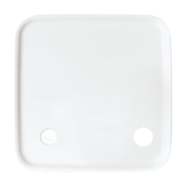 2548-046 A-214 CoverPlates (partly incl. Insert) Data communication Alpine white image 5