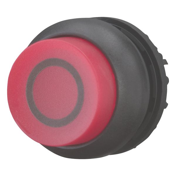 Illuminated pushbutton actuator, RMQ-Titan, Extended, maintained, red, inscribed, Bezel: black image 2