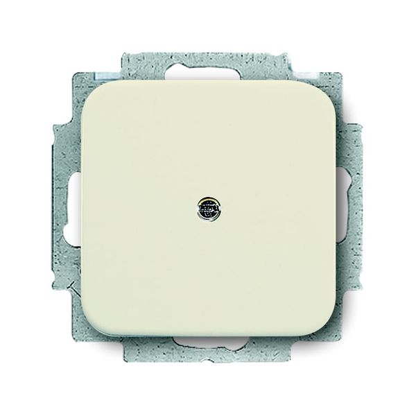 2538-212 CoverPlates (partly incl. Insert) carat® White image 1