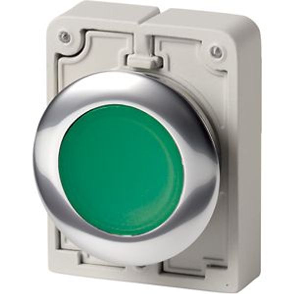 Illuminated pushbutton actuator, RMQ-Titan, Flat, momentary, green, Blank, Metal bezel image 8