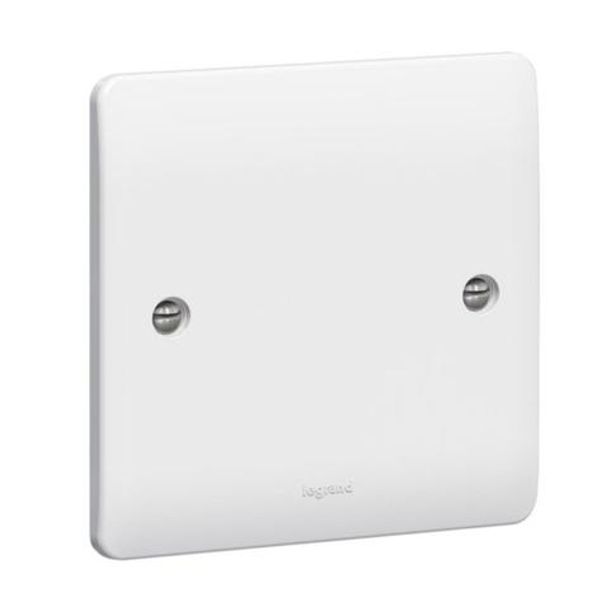 Blanking plate Synergy - 1 gang - 86 x 86 mm - white image 1