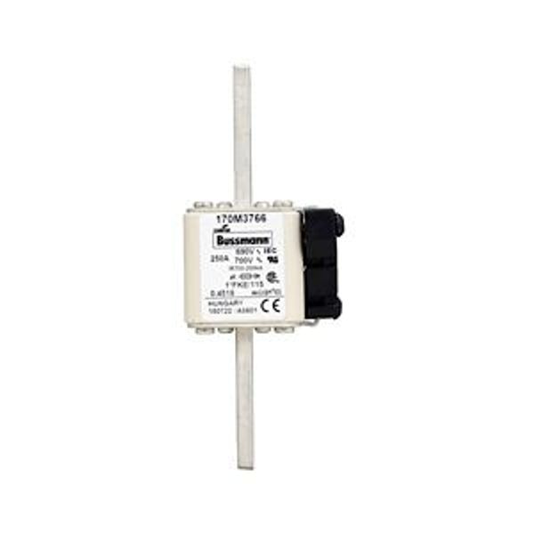 Fuse-link, high speed, 250 A, AC 690 V, compact size 1, 45 x 59 x 148 mm, aR, IEC, UL, single indicator image 3