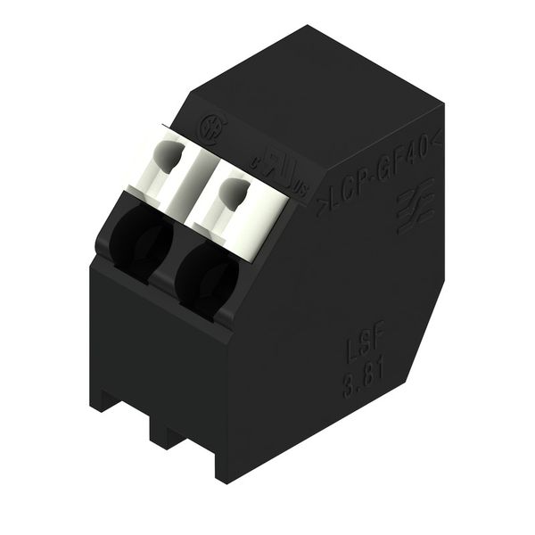 PCB terminal, 3.81 mm, Number of poles: 2, Conductor outlet direction: image 2