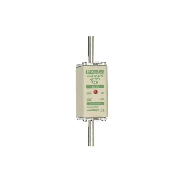 Fuse-link NH0 aM 690VAC 32A live tags Double indicator image 2