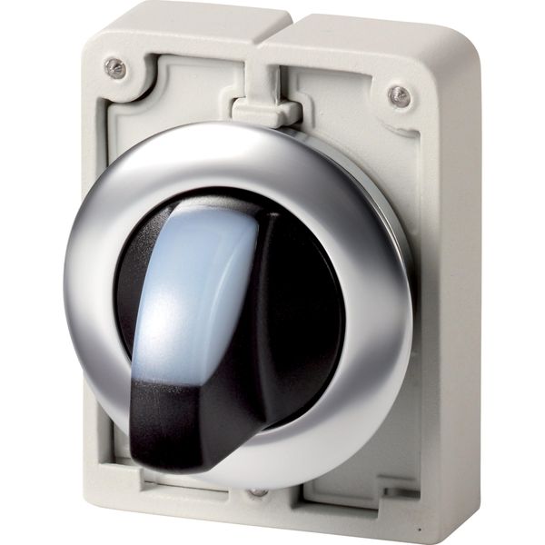 Illuminated selector switch actuator, RMQ-Titan, with thumb-grip, maintained, 2 positions, White, Front ring stainless steel image 3