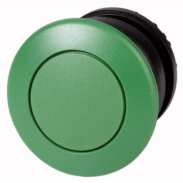 Mushroom actuator, RMQ-Titan, Mushroom, momentary, Mushroom green, green, Blank, Bezel: black image 1