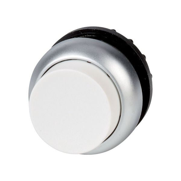 Pushbutton, RMQ-Titan, Extended, maintained, White, Blank, Bezel: titanium image 6