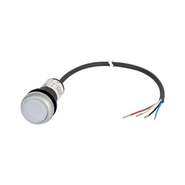 Illuminated pushbutton actuator, Flat, momentary, 1 N/O, Cable (black) with non-terminated end, 4 pole, 1 m, LED white, White, Blank, 24 V AC/DC, Beze image 3