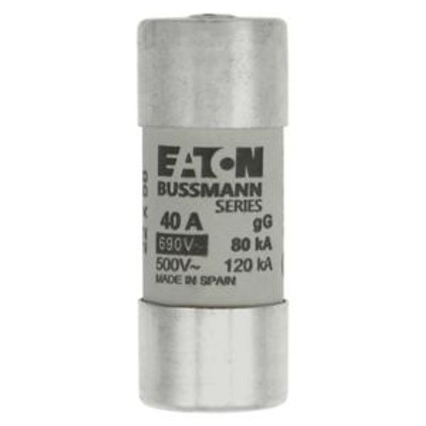 Fuse-link, LV, 40 A, AC 690 V, 22 x 58 mm, gL/gG, IEC, with striker image 5