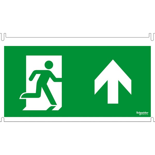 Exiway Smartled - 30m - ISO pictograms for Vetrosignal - 5 pictos image 1