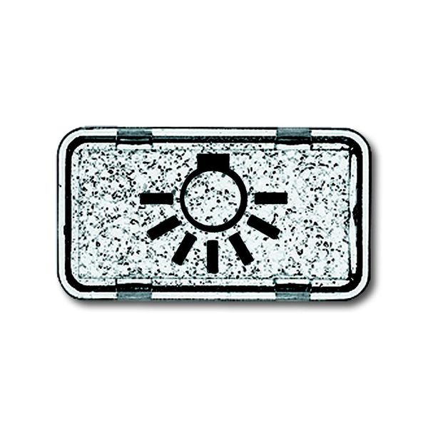 2622 LI-101 CoverPlates (partly incl. Insert) carat® clear-transparent image 1