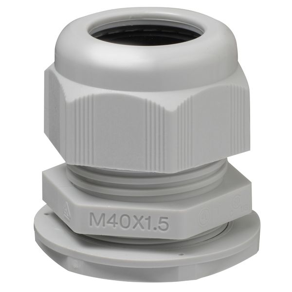 Thorsman Glands - cable gland - grey - M40 - diameter 19 to 28 image 1