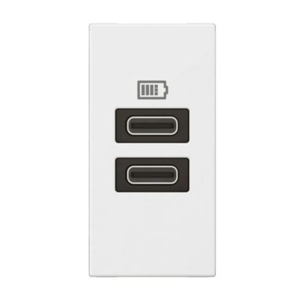 Arteor™ - 1 module USB two ports C+C - 3A- 15W - White image 1