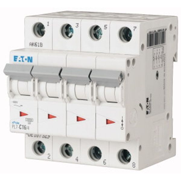 Miniature circuit breaker (MCB), 25 A, 4p, characteristic: C image 1