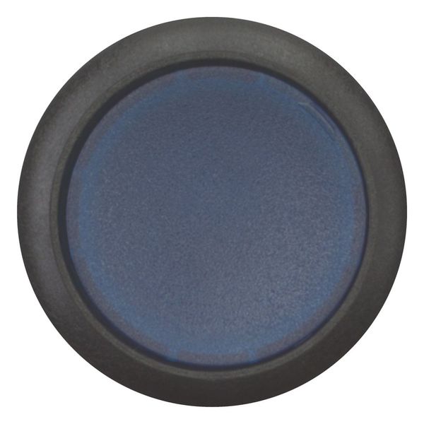 Illuminated pushbutton actuator, Flat, maintained, 1 N/O, Screw connection, LED Blue, Blue, Blank, 230 V AC, Bezel: black image 3