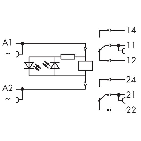 Relay module Nominal input voltage: 24 VAC 2 changeover contacts image 7