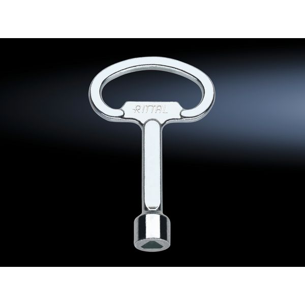 SZ Enclosure key, 8 mm triangular image 2