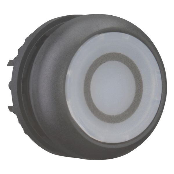 Illuminated pushbutton actuator, RMQ-Titan, Flush, momentary, White, inscribed 0, Bezel: black image 12