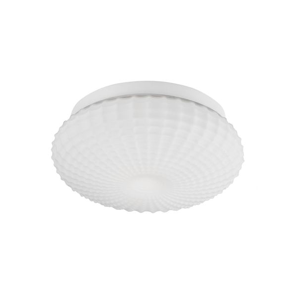 White Glass White Metal LED E27 2x12 Watt 230 Volt IP44 Bulb Excluded D: 30 H: 12 cm image 1