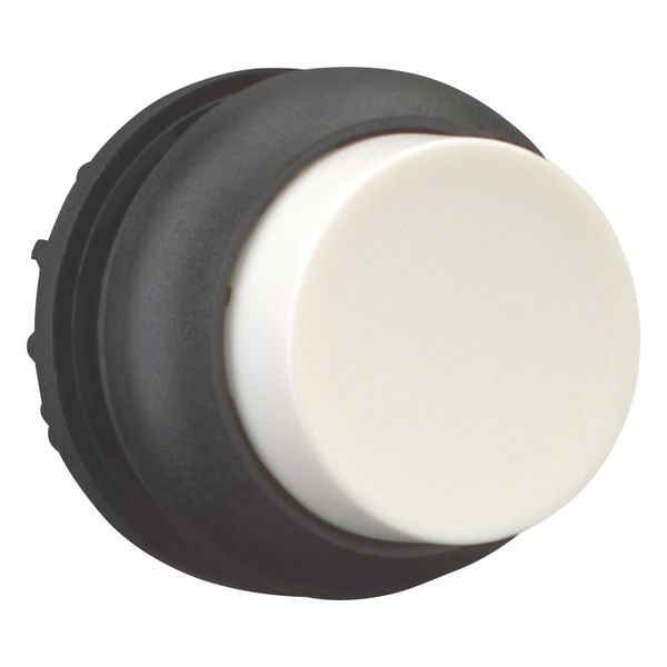 Pushbutton, RMQ-Titan, Extended, maintained, White, Blank, Bezel: black image 7