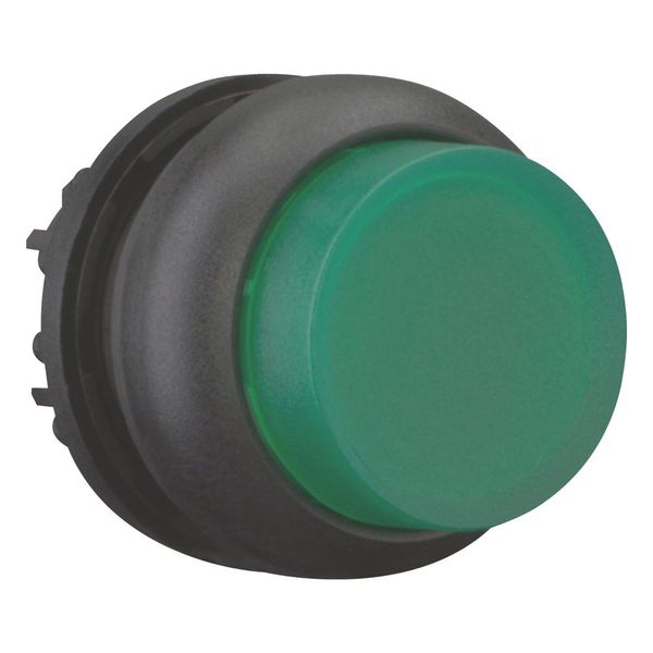 Illuminated pushbutton actuator, RMQ-Titan, Extended, momentary, green, Blank, Bezel: black image 7