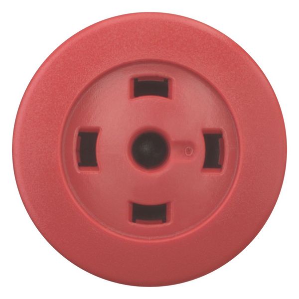 Mushroom actuator, RMQ-Titan, Mushroom, maintained, Mushroom red, Without button plate, Bezel: black image 2