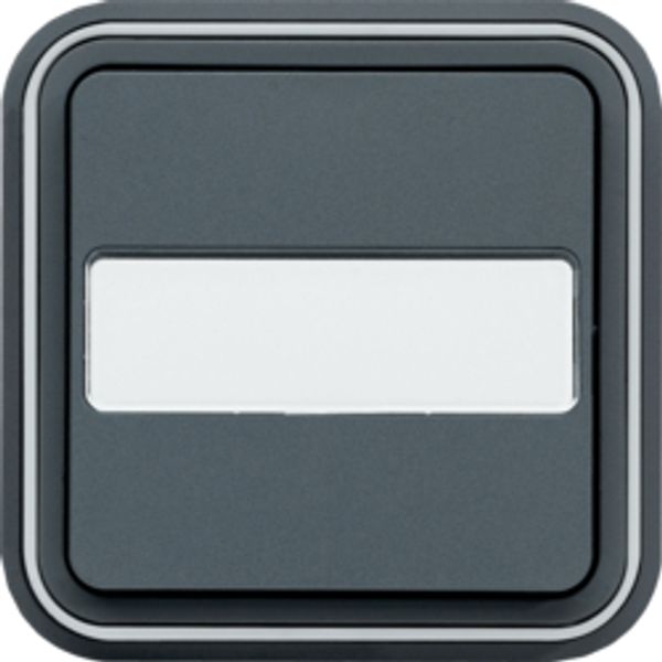 CUBYKO INSCRIPTION BUTTON INSERT IP55 GRAY image 1