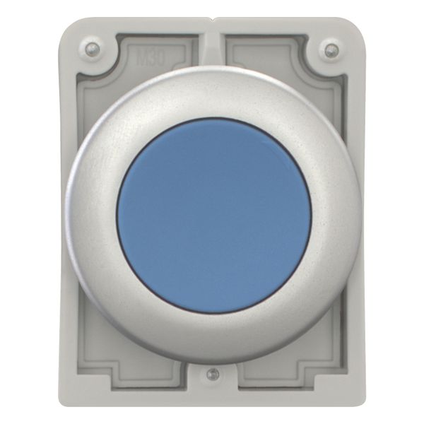 Pushbutton, RMQ-Titan, Flat, momentary, Blue, Blank, Metal bezel image 10