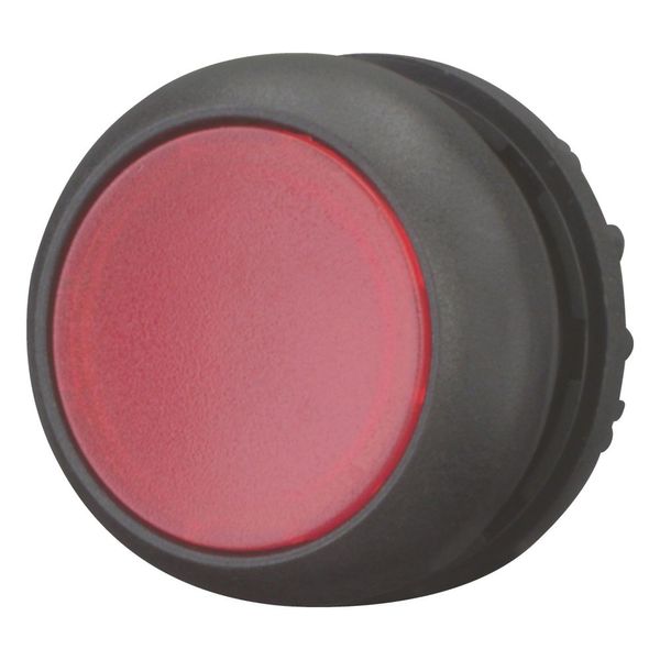 Illuminated pushbutton actuator, RMQ-Titan, Flush, maintained, red, Blank, Bezel: black image 11