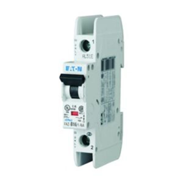 Miniature circuit breaker (MCB), 35 A, 1p, characteristic: B image 5