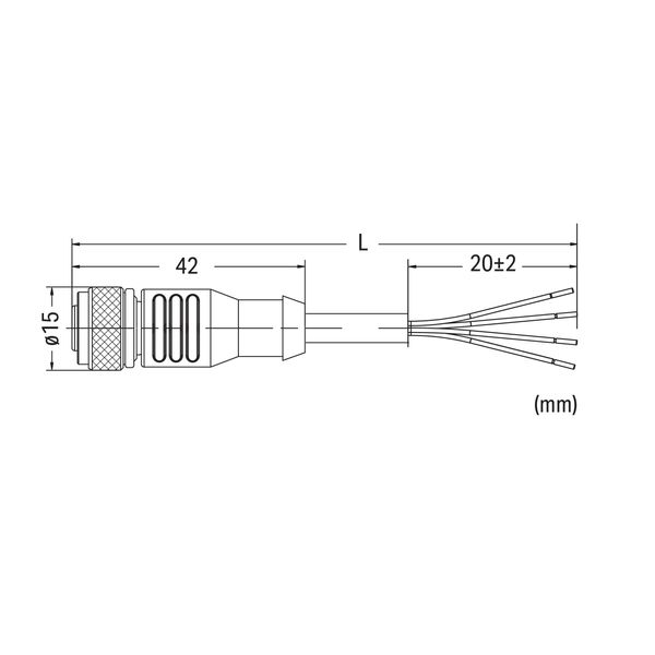 Power cable M12A socket straight 4-pole image 4