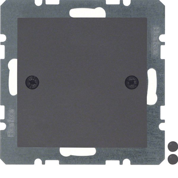 Blind plug centre plate, screw-on, B.3/B.7, ant., matt image 2