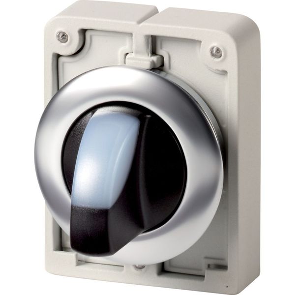 Illuminated selector switch actuator, RMQ-Titan, with thumb-grip, maintained, 2 positions, White, Front ring stainless steel image 4