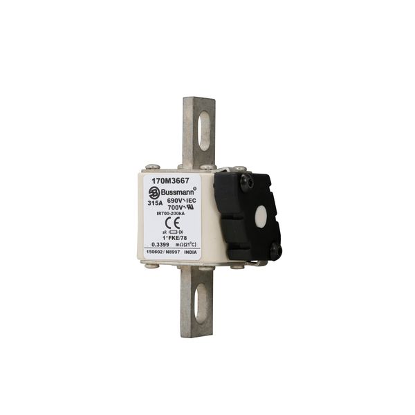 Fuse-link, high speed, 315 A, AC 690 V, compact size 1, 45 x 59 x 110 mm, aR, IEC, UL image 10