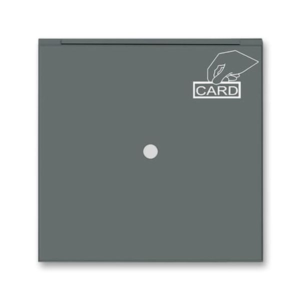 3559M-A00700 61 Card switch cover plate image 1