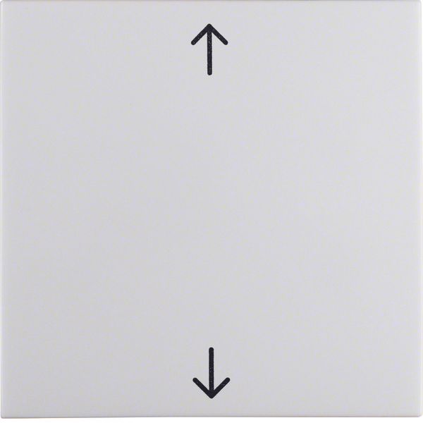 Rocker imprinted arrows symbol, S.1/B.3/B.7, p. white glossy image 1