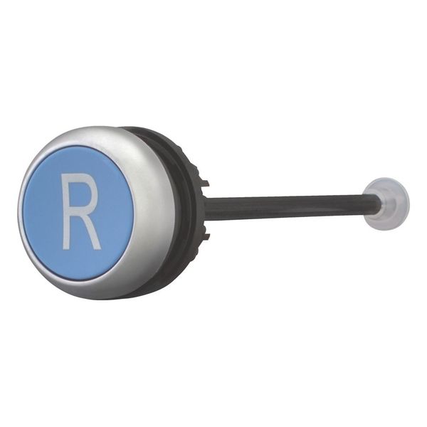Release pushbutton, blue, R image 6