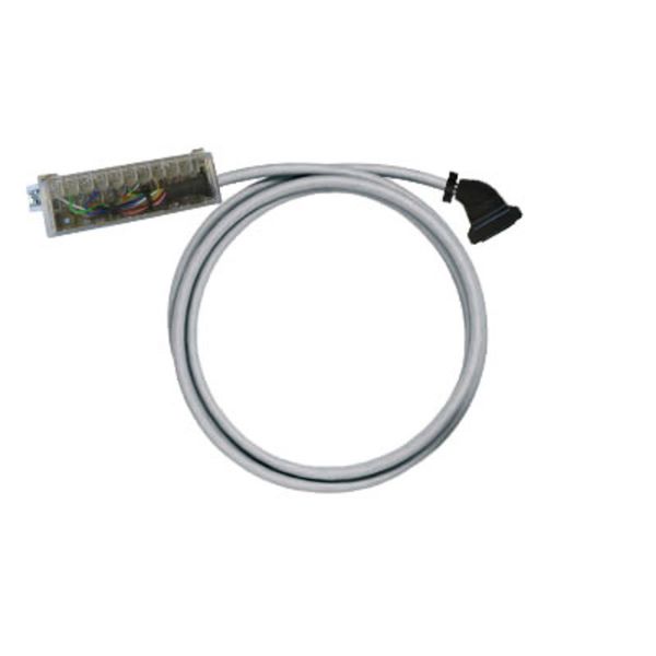 PLC-wire, Digital signals, 20-pole, Cable LiYY, 0.5 m, 0.25 mm² image 2