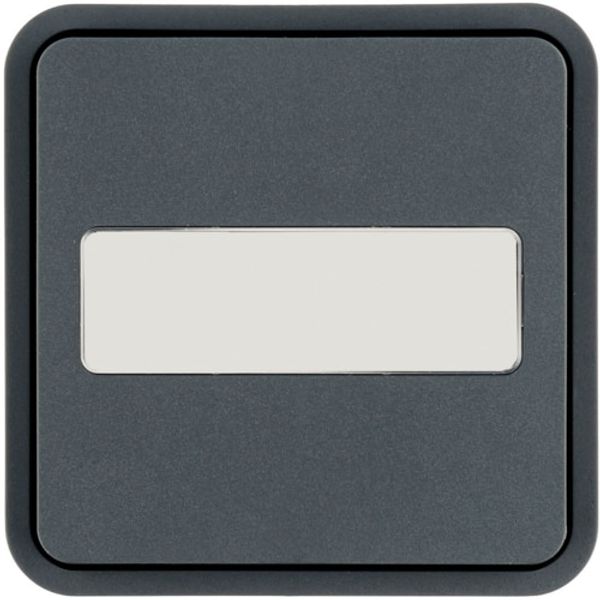 CUBYKO KNX PANEL 1 BUTTON GRAY LABELING FIELD image 1
