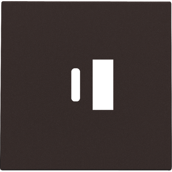 Finishing set for dual smart USB-A and USB-C charger, dark brown coate image 2