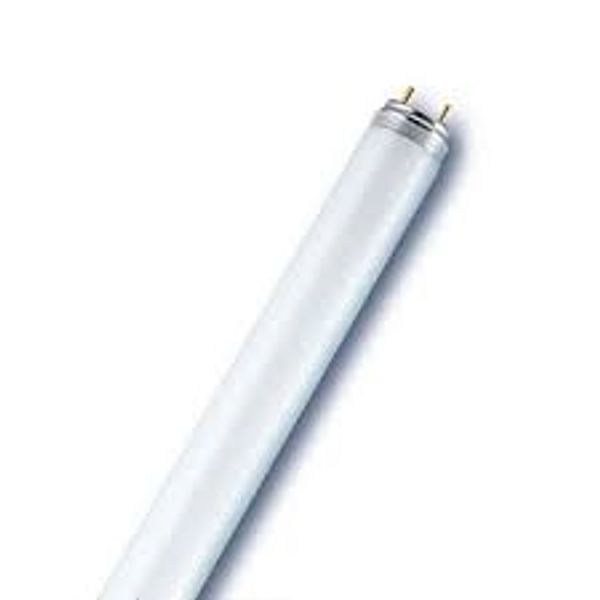 T8 58W/830 G13, Warm white 3000K, Fluorescent Lamp image 1