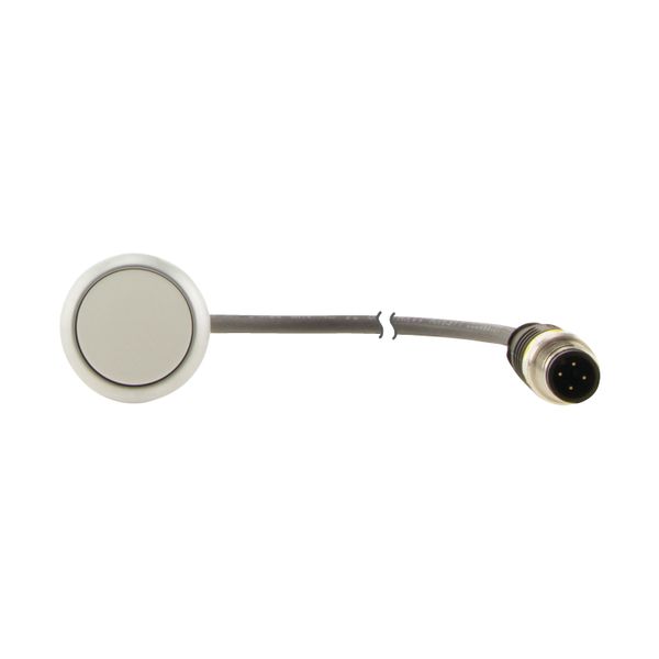 Pushbutton, Flat, momentary, 1 N/O, Cable (black) with M12A plug, 4 pole, 0.5 m, White, Blank, Bezel: titanium image 8