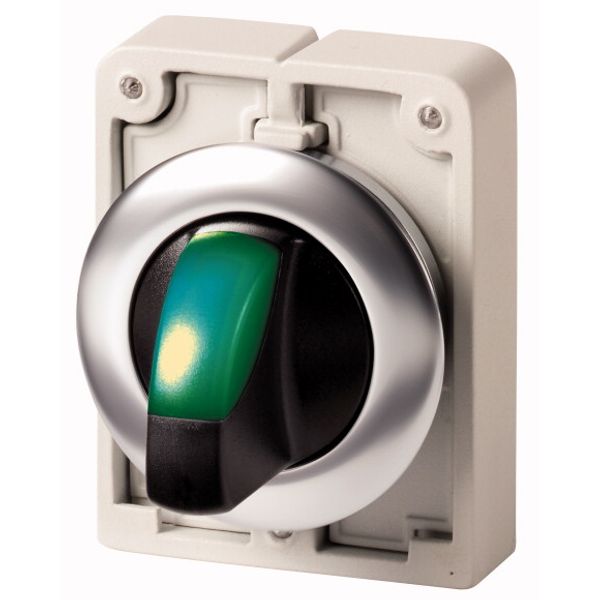 Illuminated selector switch actuator, RMQ-Titan, with thumb-grip, maintained, 3 positions, green, Front ring stainless steel image 2