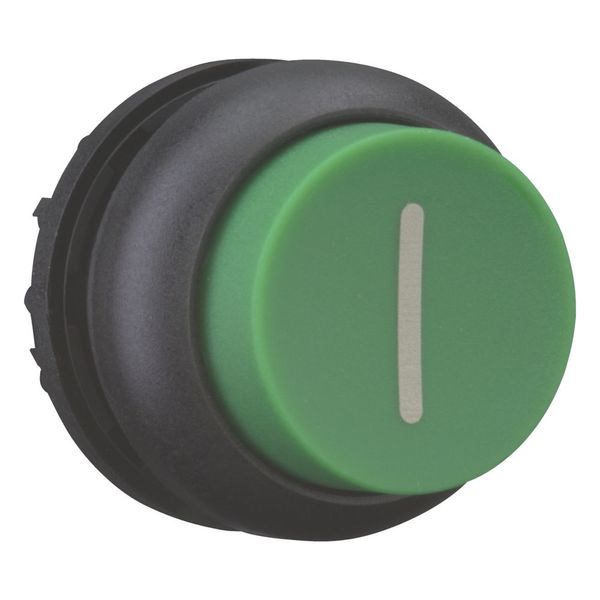 Pushbutton, RMQ-Titan, Extended, momentary, green, inscribed, Bezel: black image 11