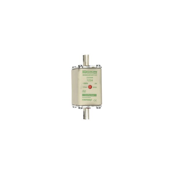 Fuse-link NH00 aM 500VAC 125A live tags Double indicator image 1