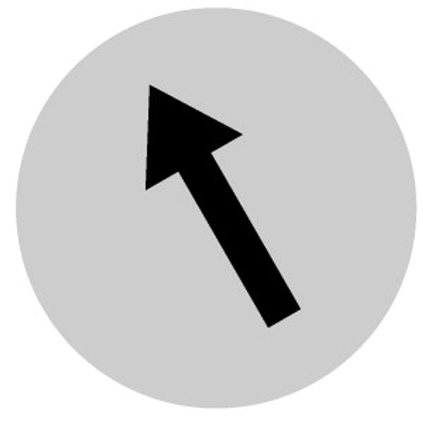 Button lens, flat white, arrow symbol image 2