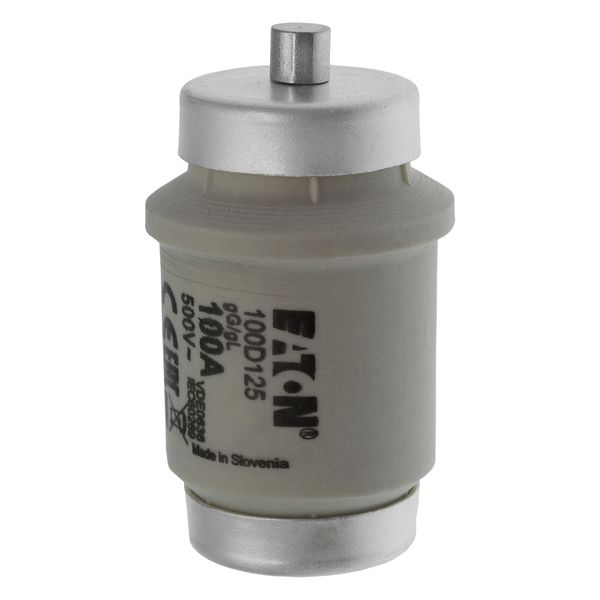 Fuse-link, LV, 100 A, AC 500 V, D4, gL/gG, IEC, time-delay image 9